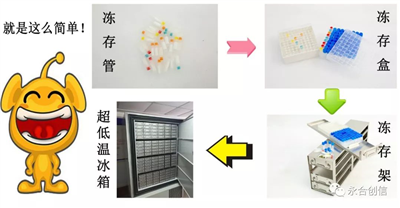 樣本凍存解決方案之凍存架、凍存盒、凍存管