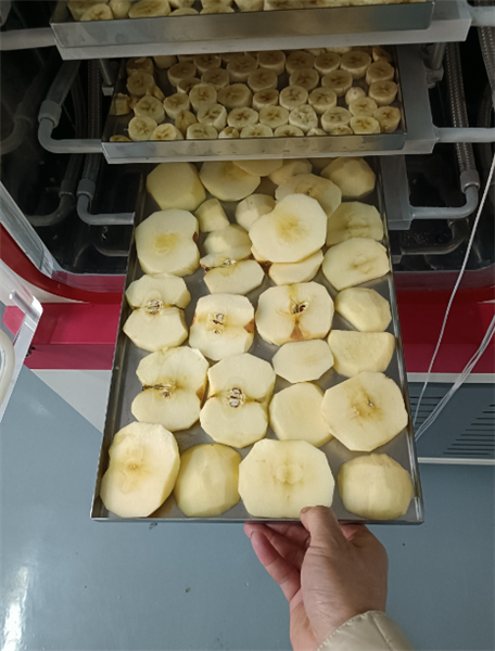 使用化妝品凍干機(jī)對面膜進(jìn)行凍干具體有哪些步驟？