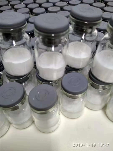 制藥凍干機的干燥效率和干燥時間如何影響產(chǎn)品質量？