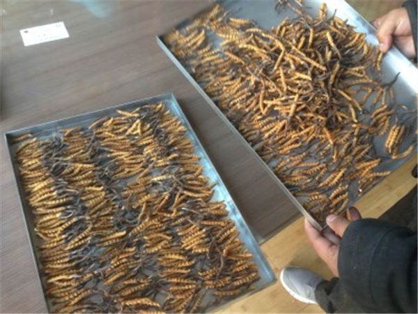 制藥凍干機中的加熱系統(tǒng)的作用是什么？