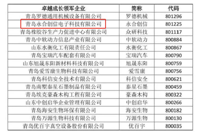 永合創(chuàng)信再獲榮譽--卓越成長領(lǐng)軍企業(yè)